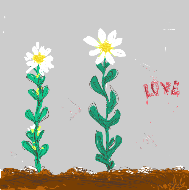 Drawing Nr 3634
