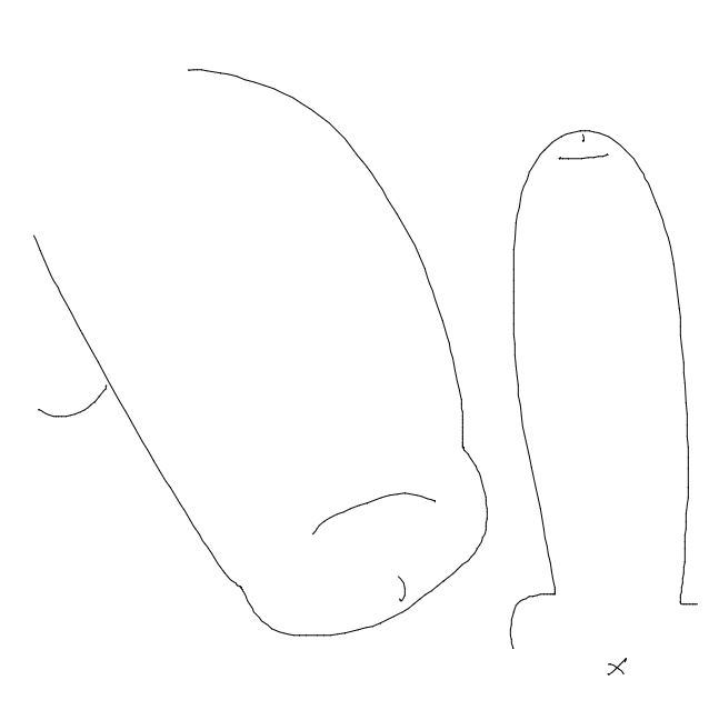 Drawing Nr 4753