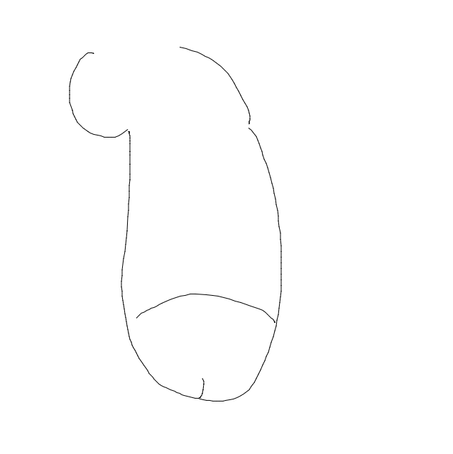 Drawing Nr 3836