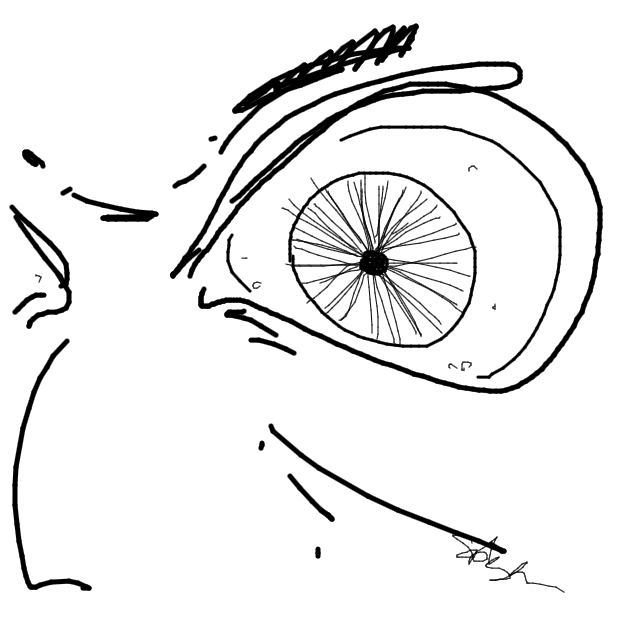 Drawing Nr 2763