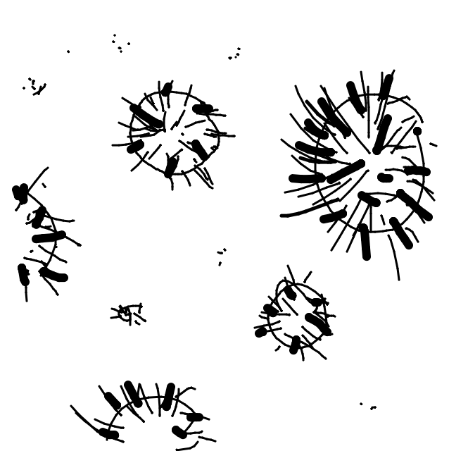 Drawing Nr 2469