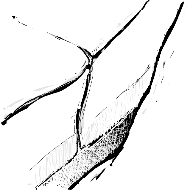 Drawing Nr 1591