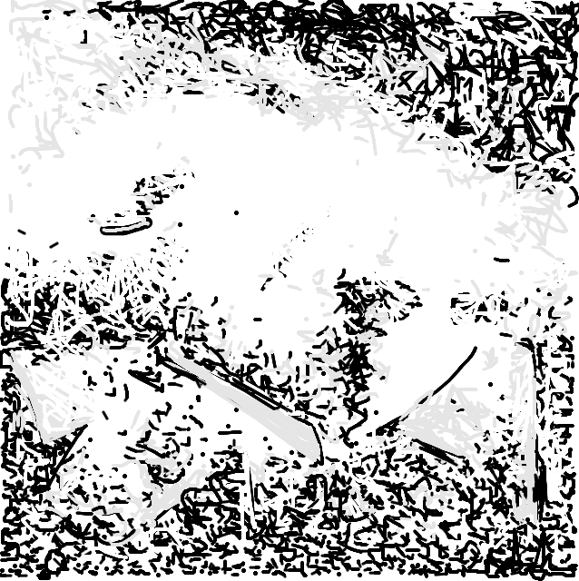 Drawing Nr 2575