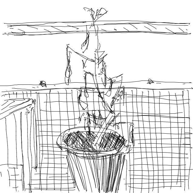 Drawing Nr 3655