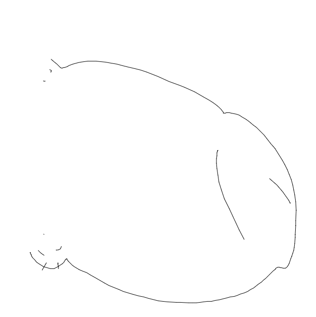 Drawing Nr 3675