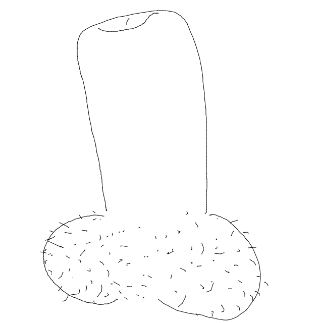 Drawing Nr 3618