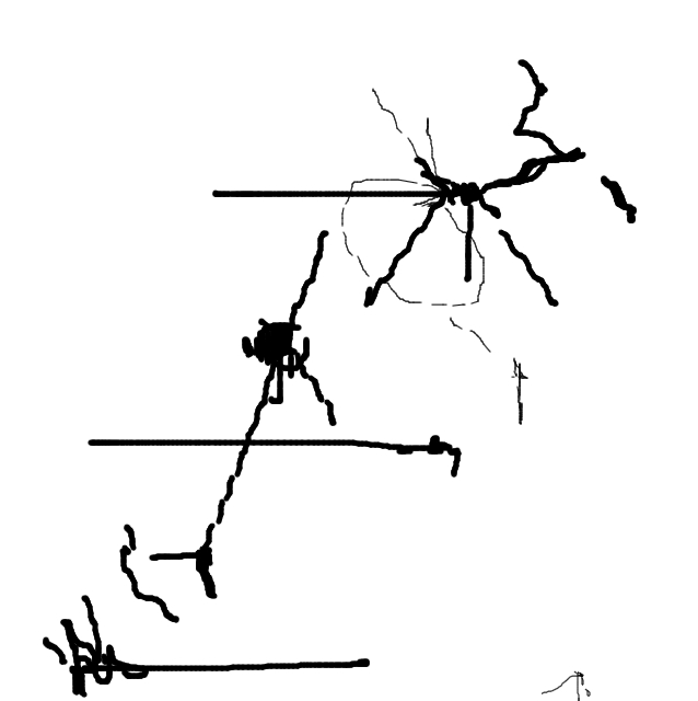 Drawing Nr 1923