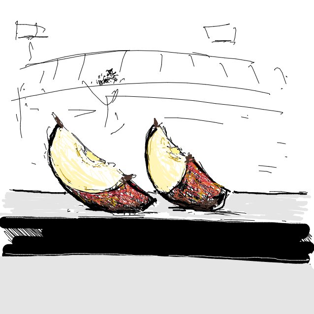Drawing Nr 4732