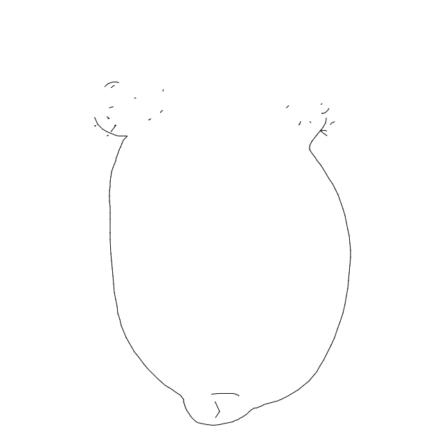 Drawing Nr 3674