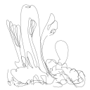 Drawing Nr 2737 by wedodraw.com