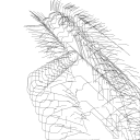 Drawing Nr 5526 by wedodraw.com
