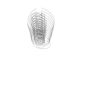 Drawing Nr 5527 by wedodraw.com