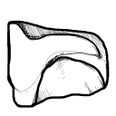 Drawing Nr 1555 by wedodraw.com
