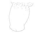 Drawing Nr 3625 by wedodraw.com