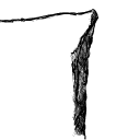 Drawing Nr 1482 by wedodraw.com