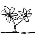 Drawing Nr 1602 by wedodraw.com