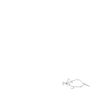 Drawing Nr 2530 by wedodraw.com