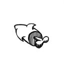 Drawing Nr 1020 by wedodraw.com