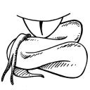 Drawing Nr 1087 by wedodraw.com