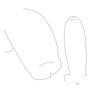 Drawing Nr 4753 by wedodraw.com
