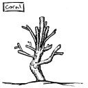 Drawing Nr 1470 by wedodraw.com
