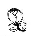 Drawing Nr 1017 by wedodraw.com