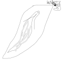 Drawing Nr 1763 by wedodraw.com