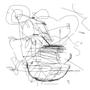 Drawing Nr 1941 by wedodraw.com