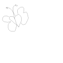 Drawing Nr 2532 by wedodraw.com