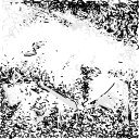 Drawing Nr 2575 by wedodraw.com