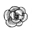 Drawing Nr 1030 by wedodraw.com