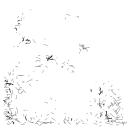 Drawing Nr 2764 by wedodraw.com