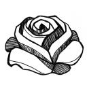 Drawing Nr 1013 by wedodraw.com