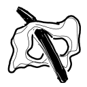 Drawing Nr 2104 by wedodraw.com