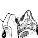 Drawing Nr 4751 by wedodraw.com