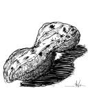 Drawing Nr 4448 by wedodraw.com