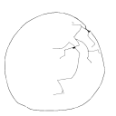 Drawing Nr 3541 by wedodraw.com