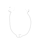 Drawing Nr 3674 by wedodraw.com